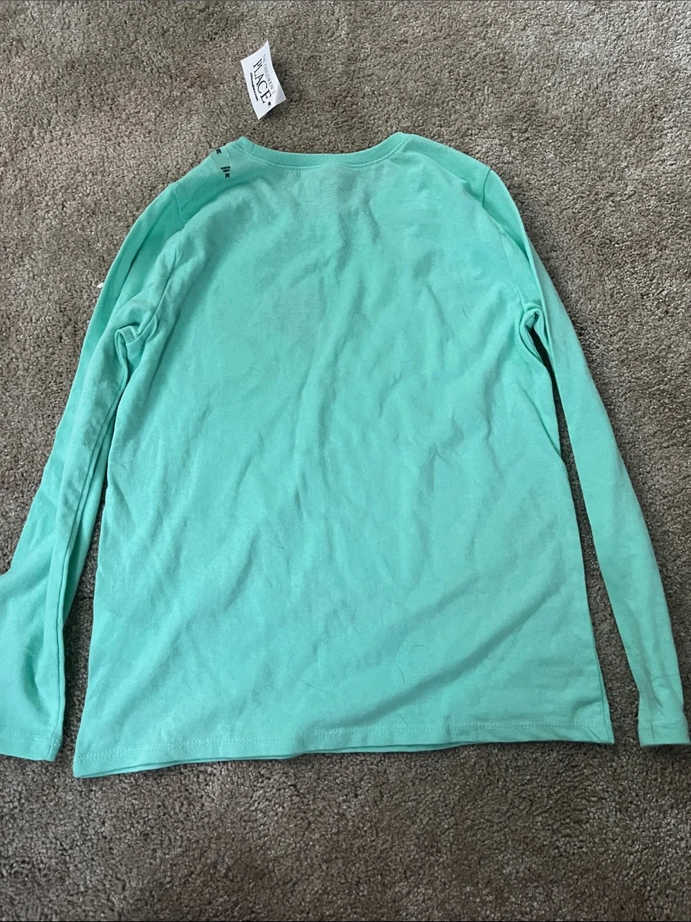 The Children's Place Mint Green Long Sleeve Tee with Pink & Purple Graphic Girl